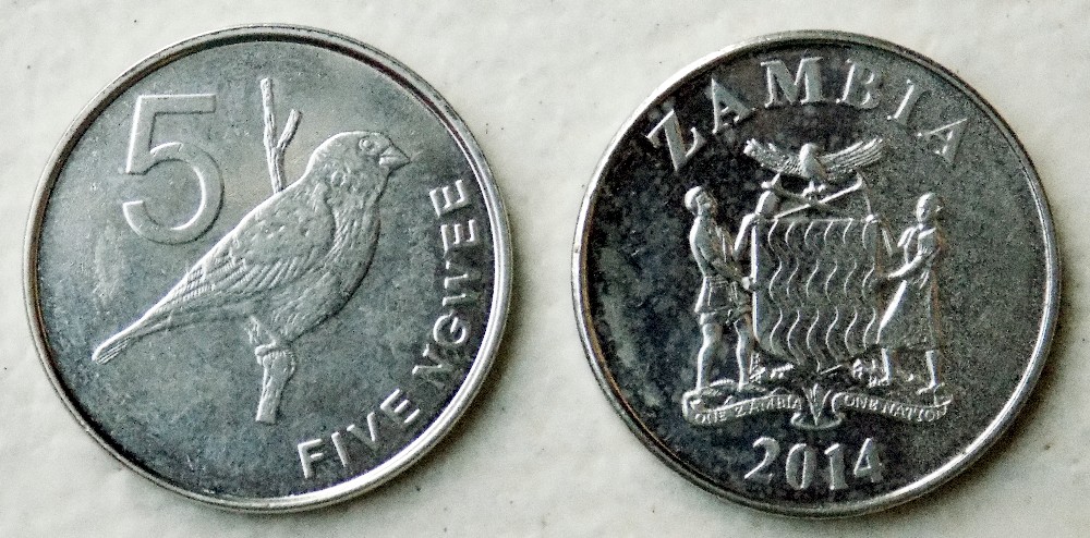 Post-Your-Coins-Representing-The-Animal-Kingdom.