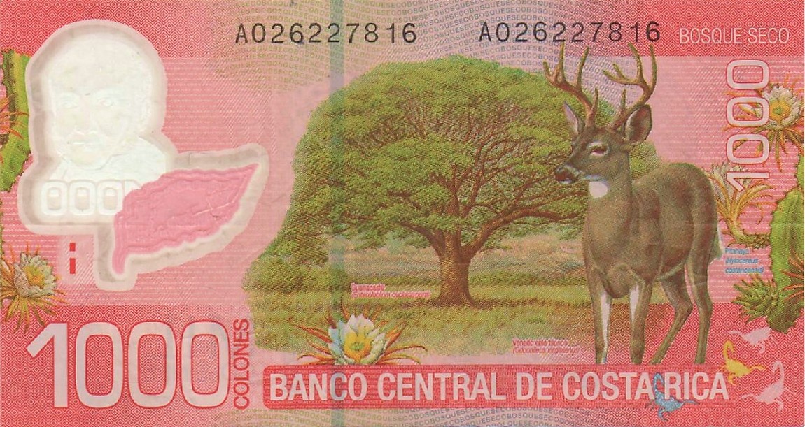 How-Far-Back-Can-We-Go?---With-Banknotes!-Second-Edition!