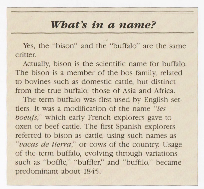 Poll-Question-,-Buffaloes-Or-Bisons-?