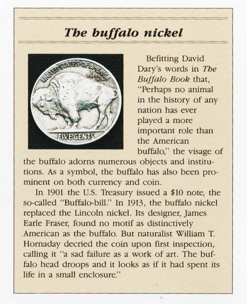 Poll-Question-,-Buffaloes-Or-Bisons-?