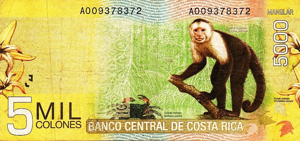 Monkeys-And-Other-Primates-On-Banknotes