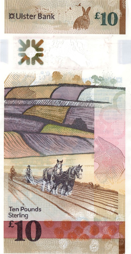 Post-Your-Notes-Showing-A-Horse.