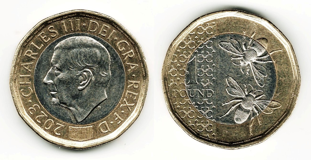 Post-Your-Coins-Depicting-Insects