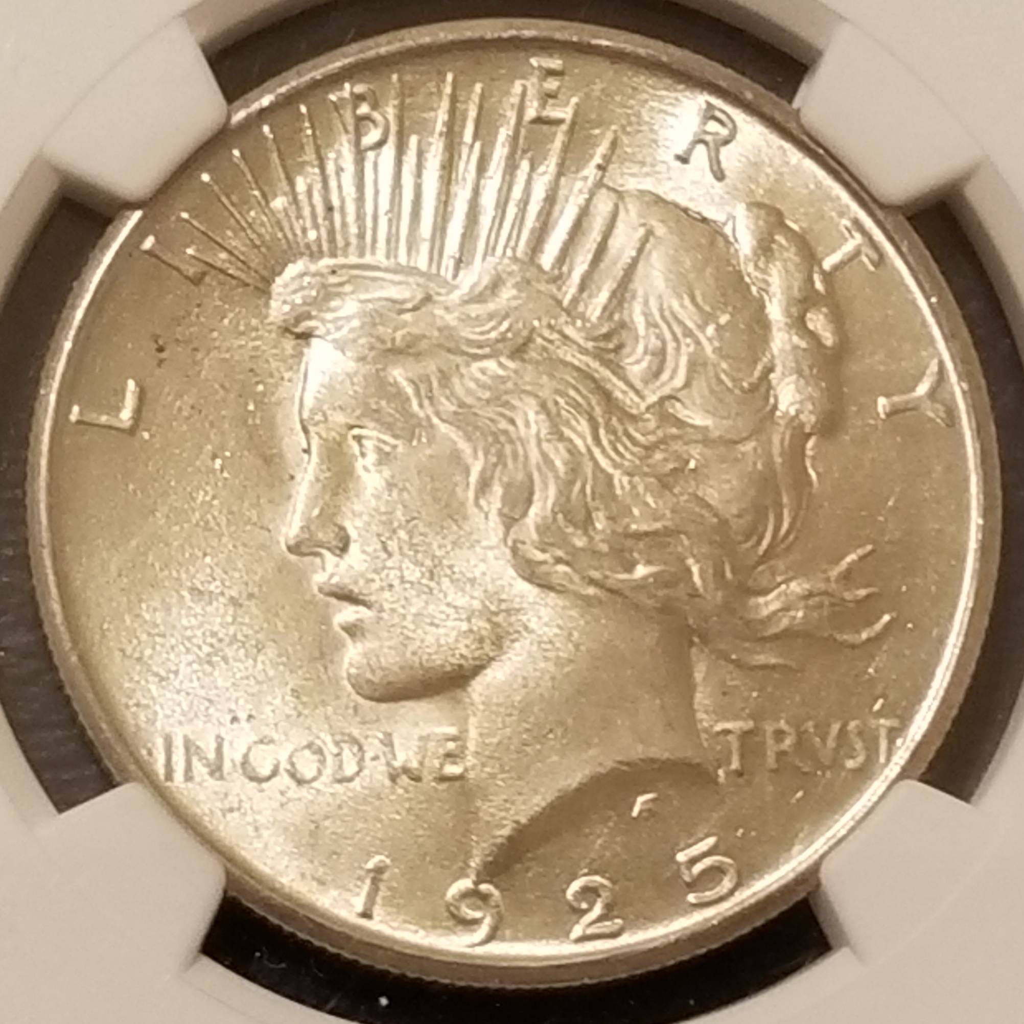 You-Vs-NGC-1925-Peace-Dollar