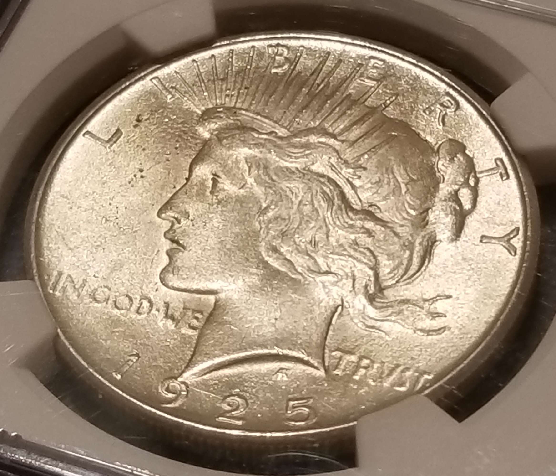 You-Vs-NGC-1925-Peace-Dollar