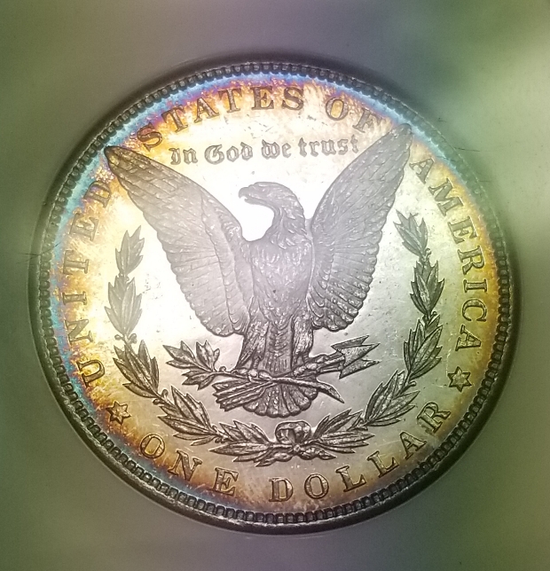 You-Vs.-NGC-1896-Morgan-Dollar