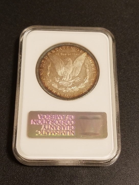 You-Vs.-NGC-1896-Morgan-Dollar