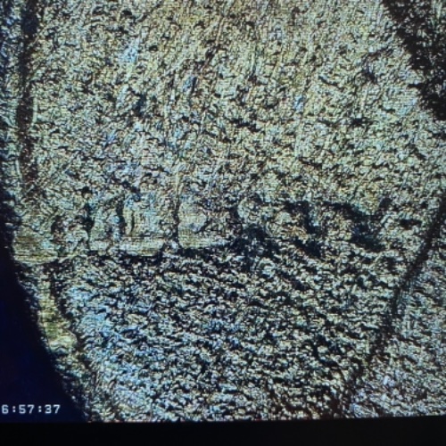 1944-Wheat-Cent-Damaged?