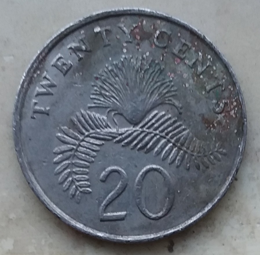Latest-Treasure-Sarcasm-Found-Searching-Nickel-Rolls