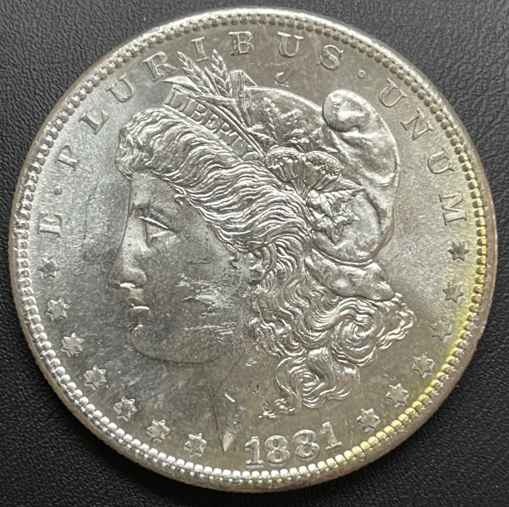 1881-S-Morgan-Dollar-W/-Color---Grade-It