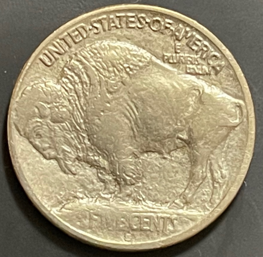 1913-S-Type-1-Buffalo-Nickel---Grade-It