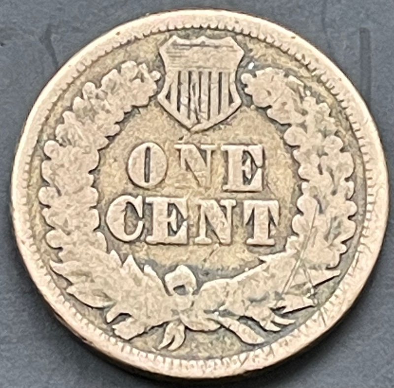 1863-Indian-Head---Grade-It!