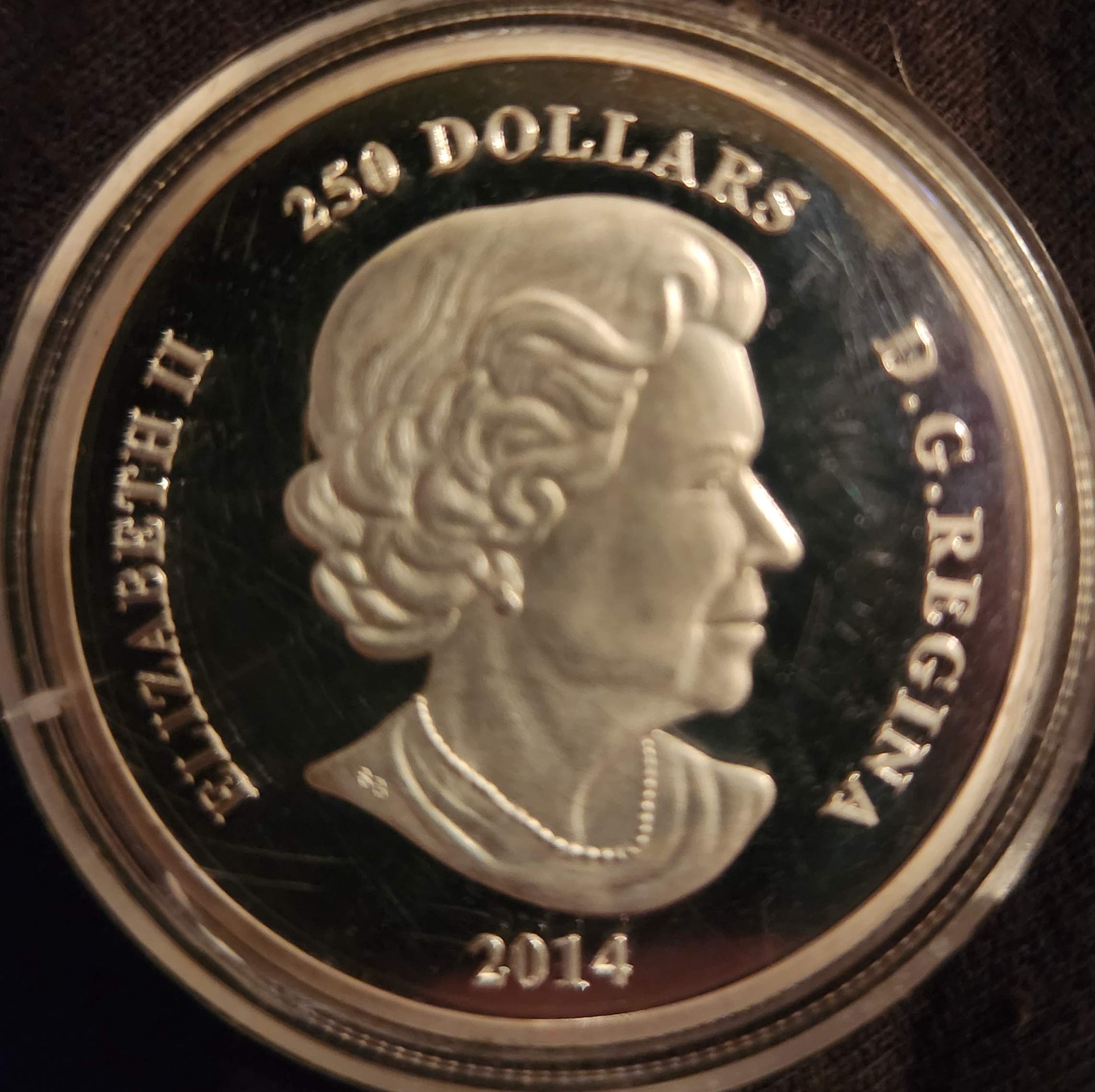 Fake-2014-Snowy-Owl-Coin