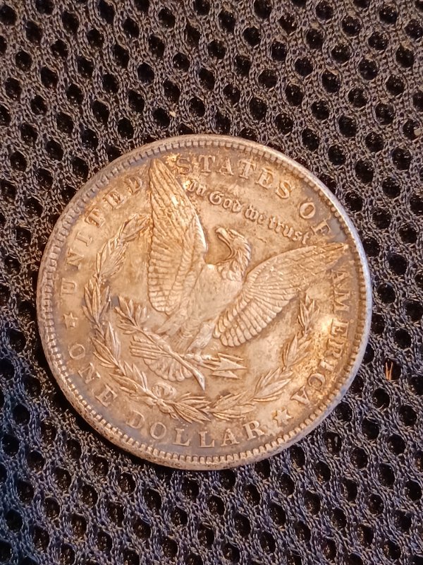 Picture-Taking.-And-Coin-Cleaning?