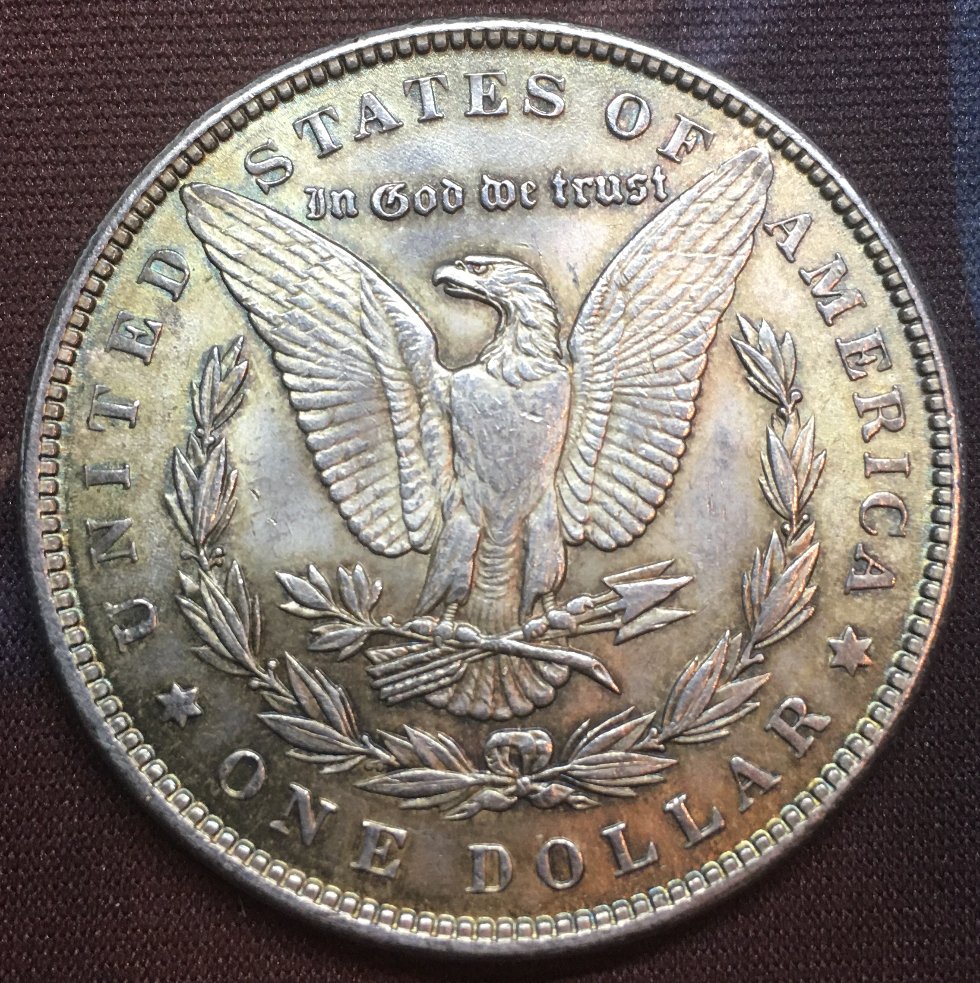 1889-Morgan-Dollar-For-Your-Consideration