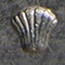 Name-That-Coin.--Daily-Coin-Snippet.