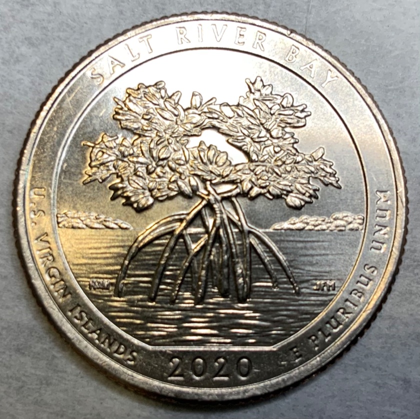 Salt-River-Bay-2020-Quarter—something-On-The-Die?