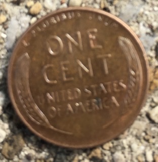 Do-You-A-Pick-Up-Old-Coins-From-Drive-Thru?