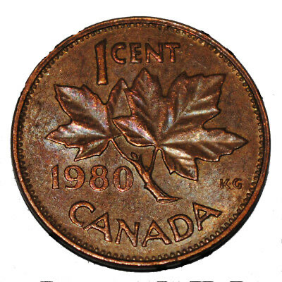 Do-You-A-Pick-Up-Old-Coins-From-Drive-Thru?