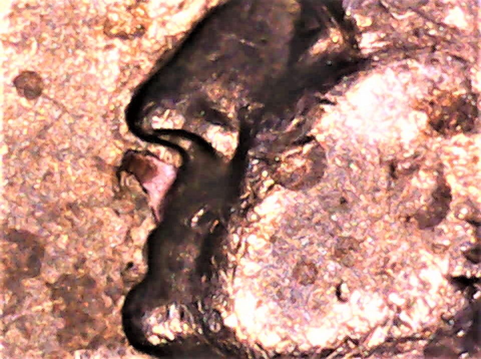 1974-Quarter-No-Mint-Mark-What's-Going-On-Here?