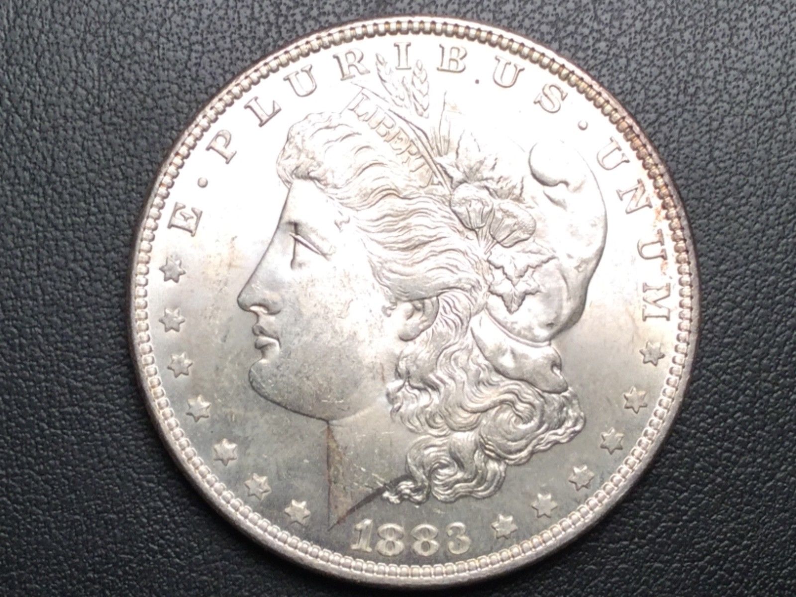 Interested-In-Buying-1883-Morgan-And-1875-S-Twenty-Cent-Piece---Thoughts?