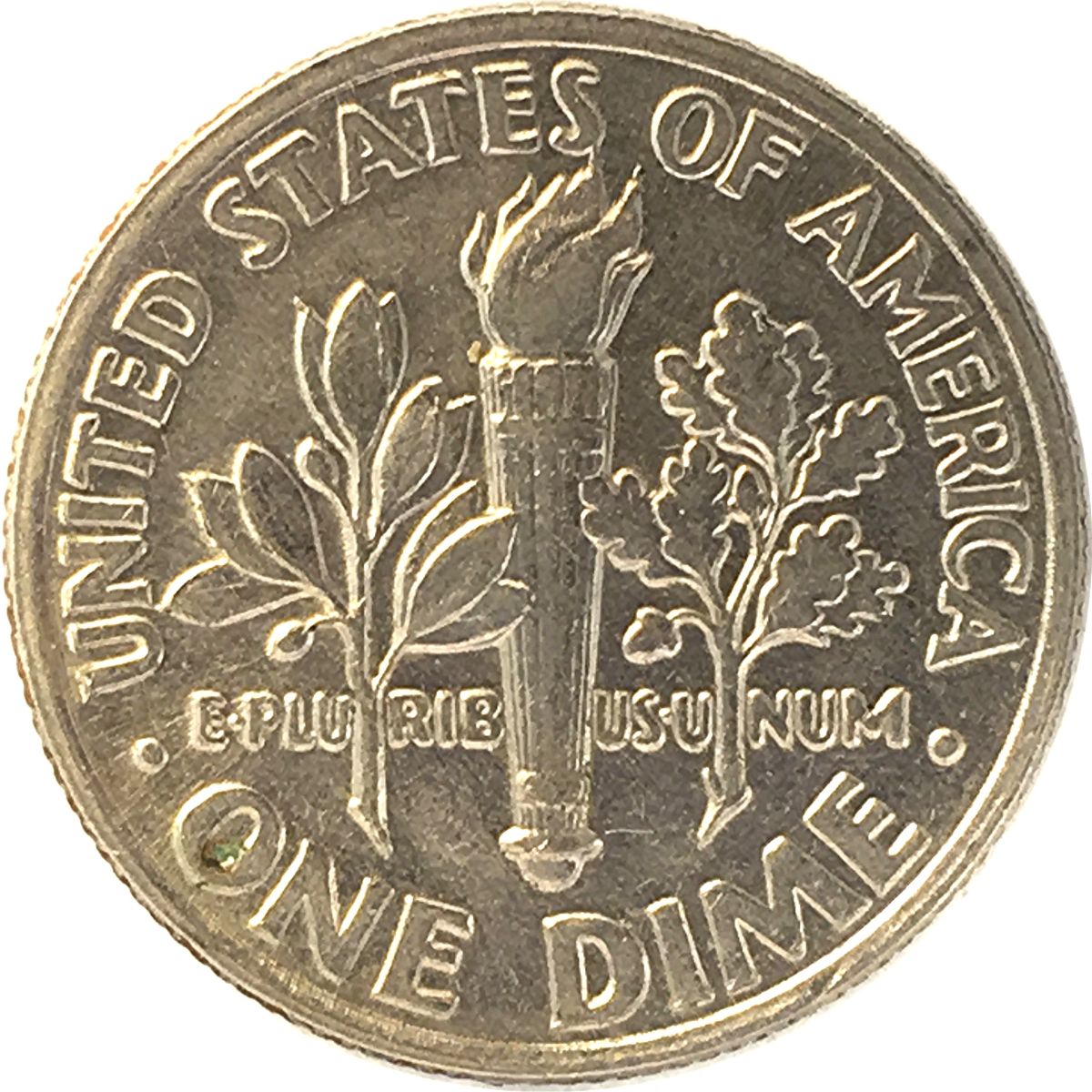 1999-P-Dime-Extensions-On-Leaves-And-Flames.-What-Do-You-Call-It?