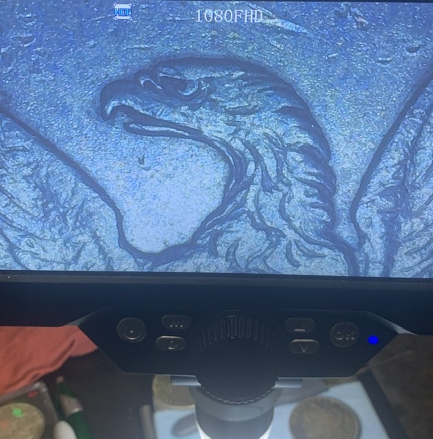 1878-7TF-Flared-Nostril?-Is-There-A-VAM?