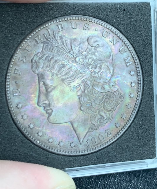 1902-0-Toned-Morgan-Value?