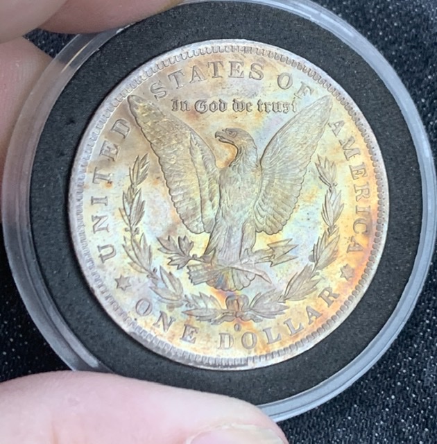 1884-0-Toned-Morgan-Value?