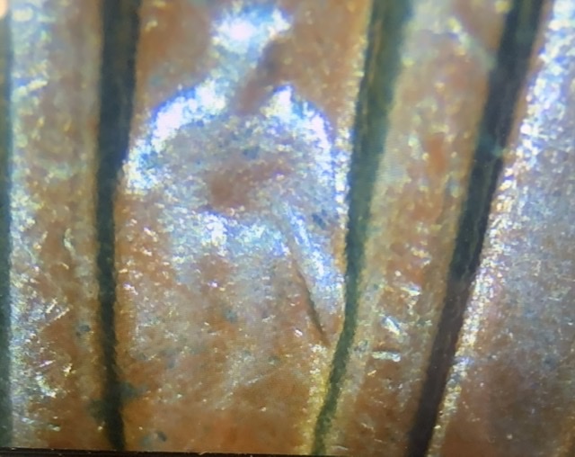 Can-Anyone-Tell-Me-What-This-Is?