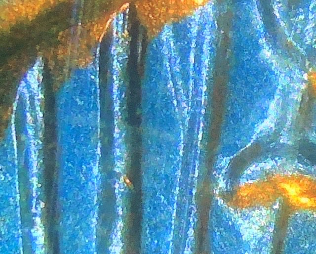 1971-Kennedy-Reverse-Extra-Ray?