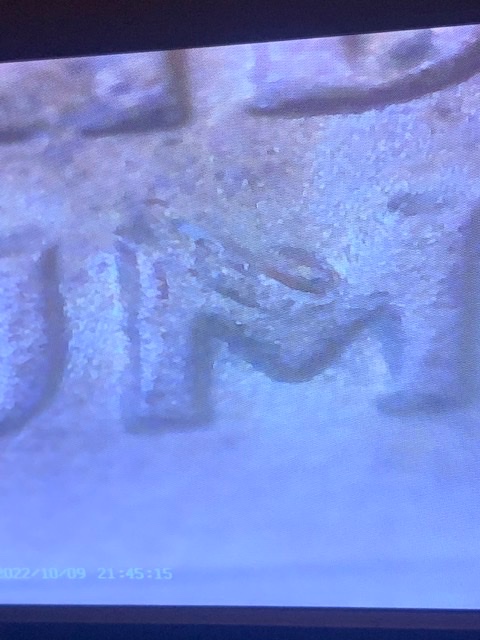 New-DDR?-1997-Lincoln-Memorial,-No-Info-Anywhere-On-This-One.