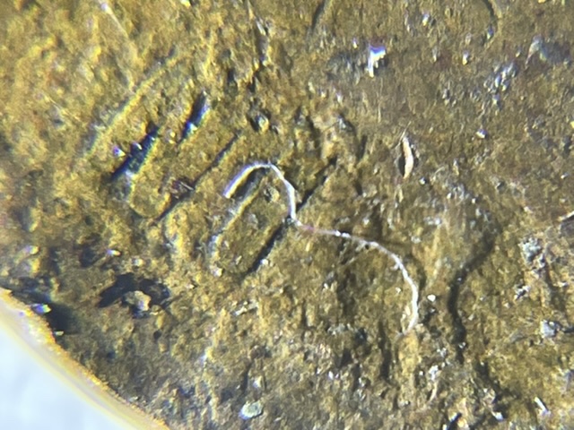 1925-Lincoln-Memorial-Cent,-PMD-But-With-What?