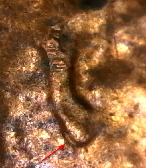 1975-Lincoln-Cent-Doubled-Ear?