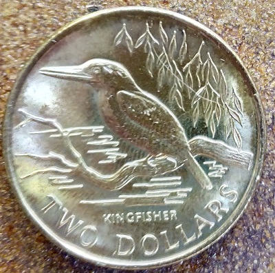 An-Introduction-To-New-Zealand-Decimal-Coins-1967---2020
