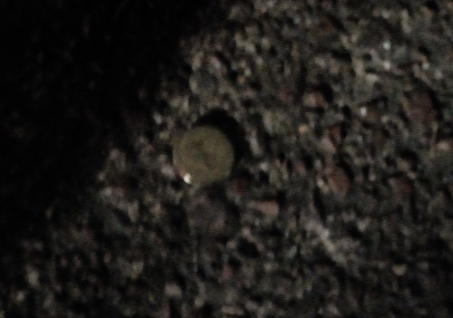 Post-Your-Stories-&-Pix-Of-Found-Money