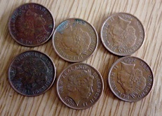 Kiwi-Coin-Noodling,-A-Good-Laugh-And-Analysis