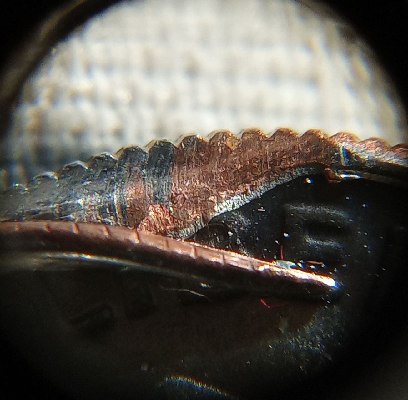 Is-This-2018-D-Dime-Partial-Rim-Clipped?-Or-Post-Mint-Damage-Thanks!