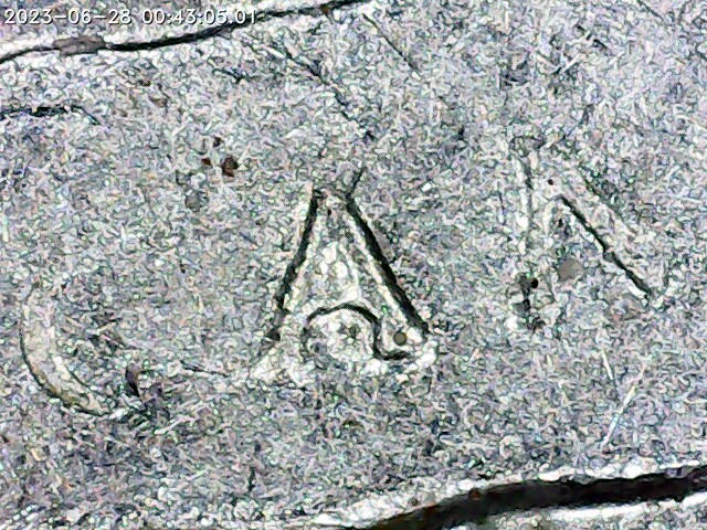 2008-D-AZ-Quarter-No-Letters-On-Motto-Grease-Fill