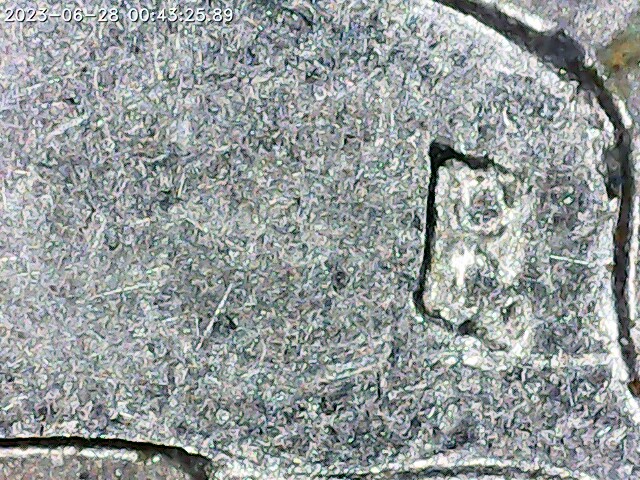 2008-D-AZ-Quarter-No-Letters-On-Motto-Grease-Fill