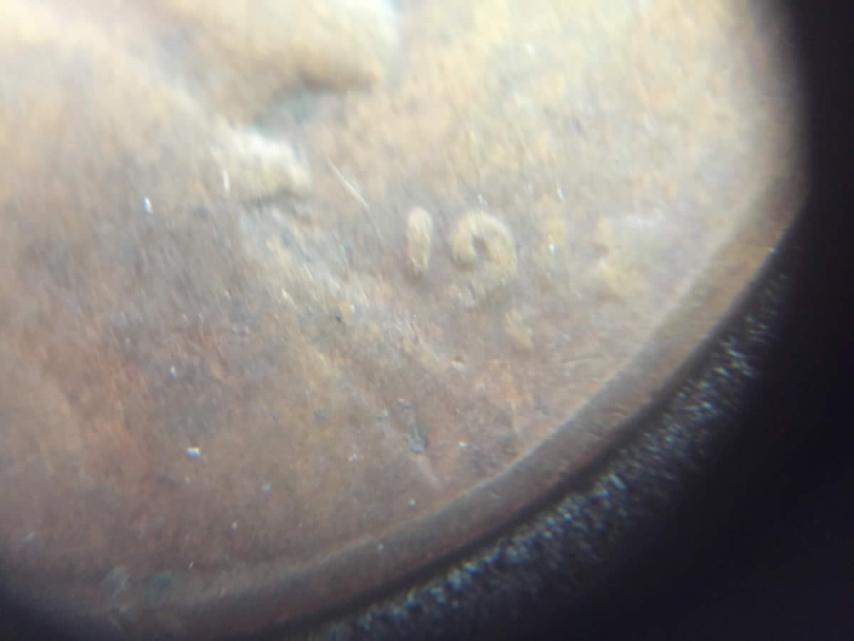 Unidentified-LWC-Need-Help.