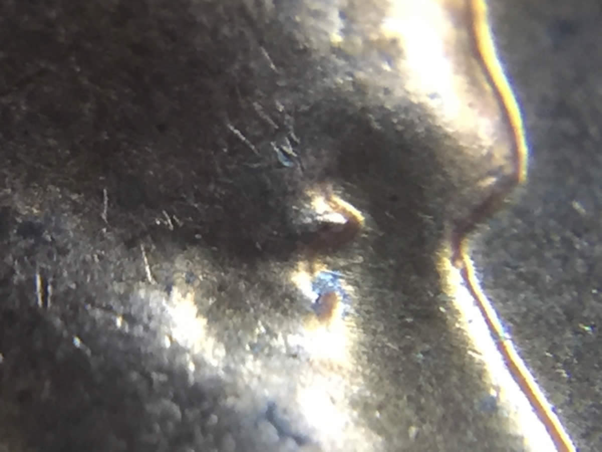 1959-D-LMC-Doubled-Eye?