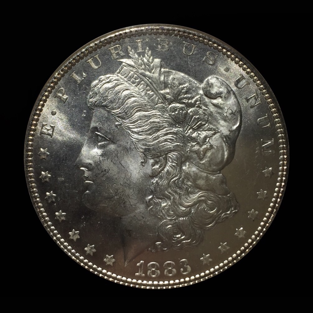 1883-Morgan-Dollar-NGC-Guess-The-Grade