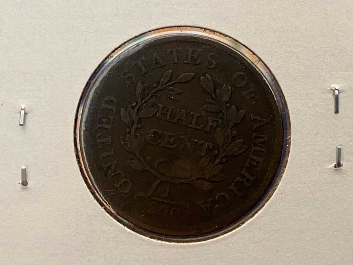 1805-No-Stems-Draped-Bust-Half-Cent-For-Grading