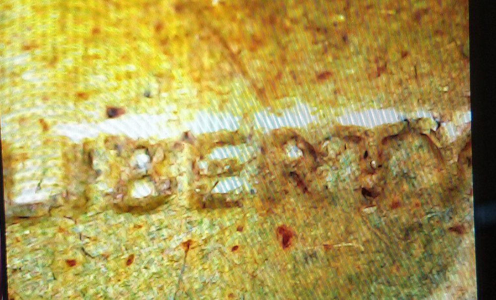 1982-D-Lincoln-Copper-Cent-D-Over-D-And-Strike-Through?