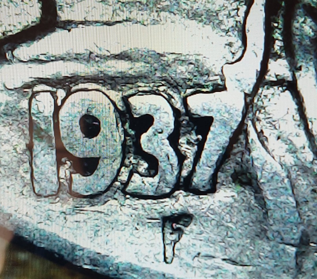 1937-Buffalo-Nickel-Grade?