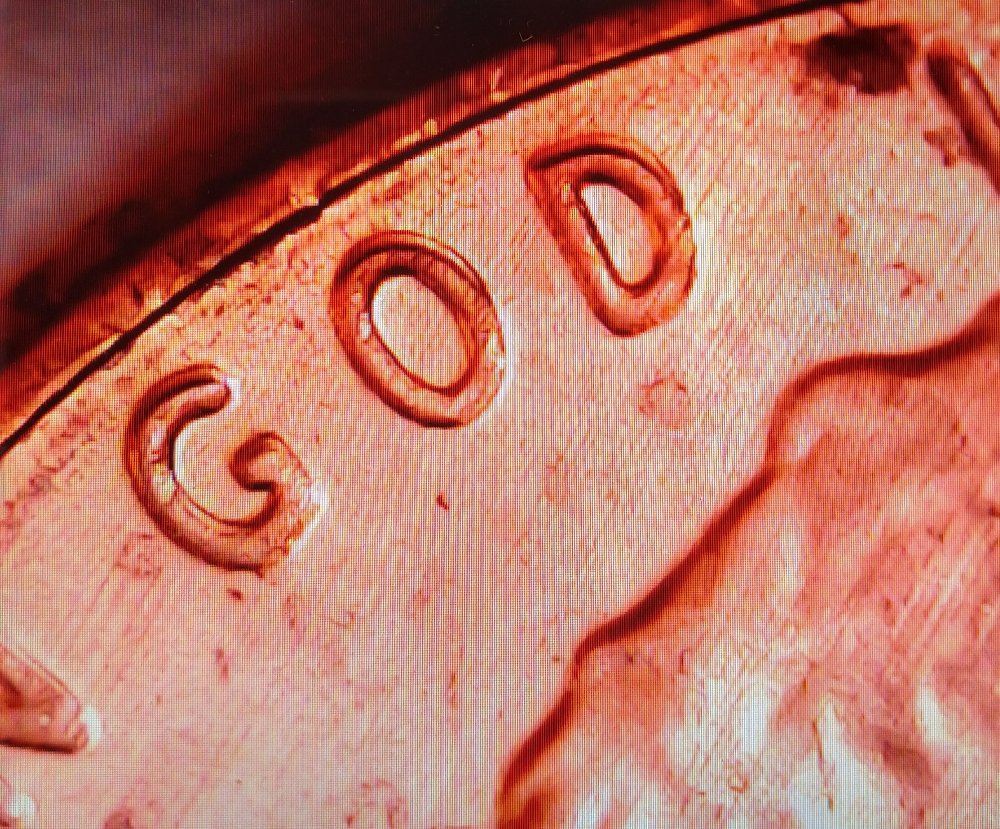 2019-D-LMC-Double-Die-Obverse
