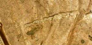 1989-P-DDO,-Die-Marks-And-Die-Gouches.