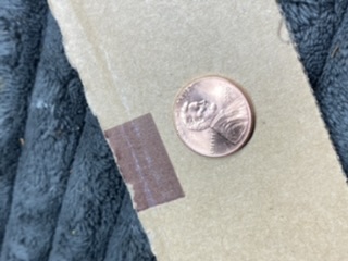Dash-In-E-Pluribus-Unum-2020-D-Penny.