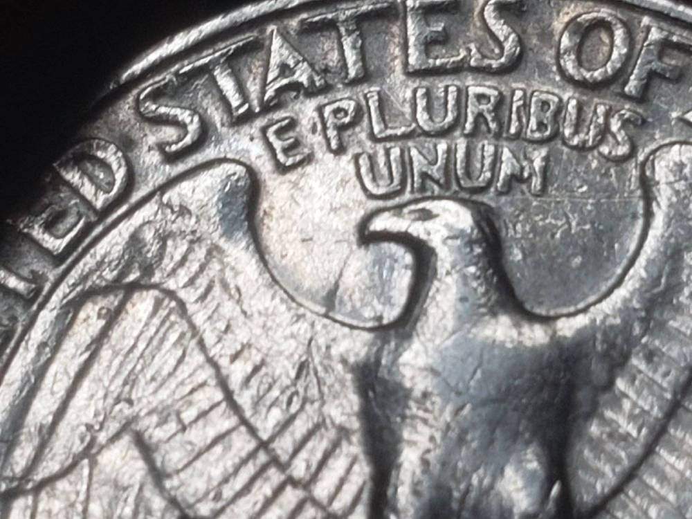 How-About-Quarters,-Any-Special-Dates?
